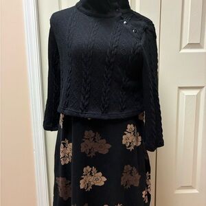 Reborn Size Large Black and Brown Long Sleeve Dress